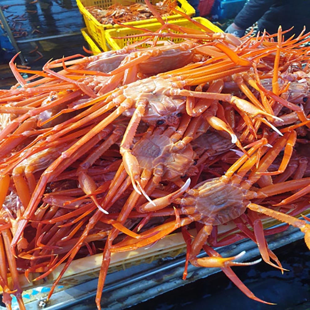 1702542644 thumbnail