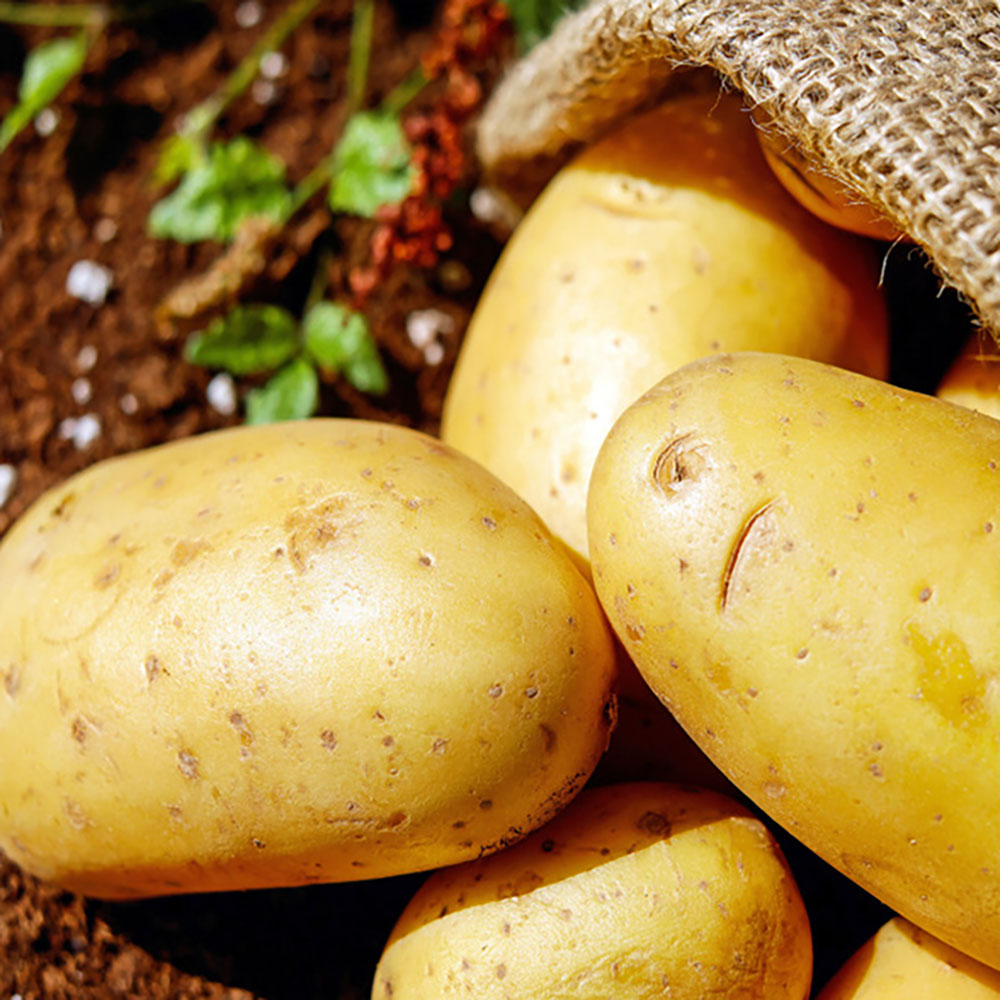 1702542651 thumbnail