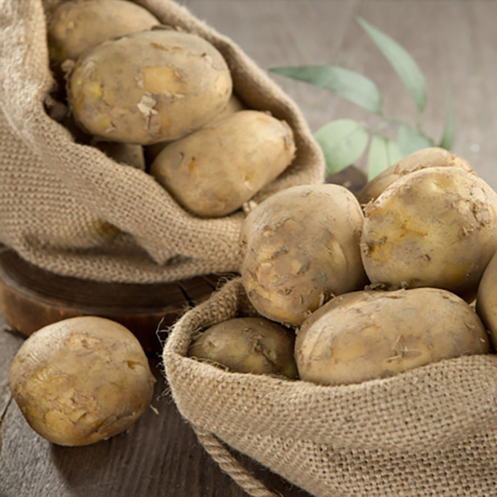 1702542652 thumbnail