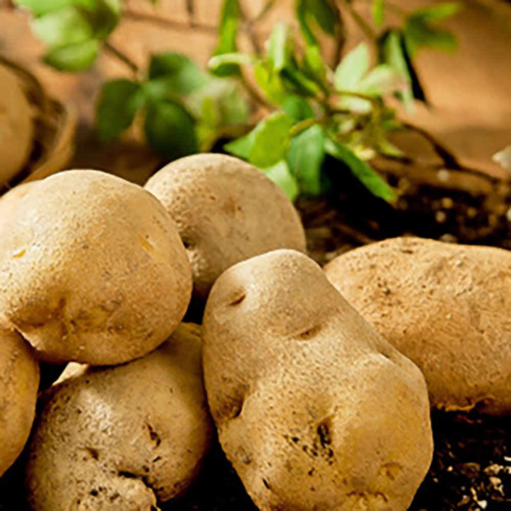 1702542654 thumbnail