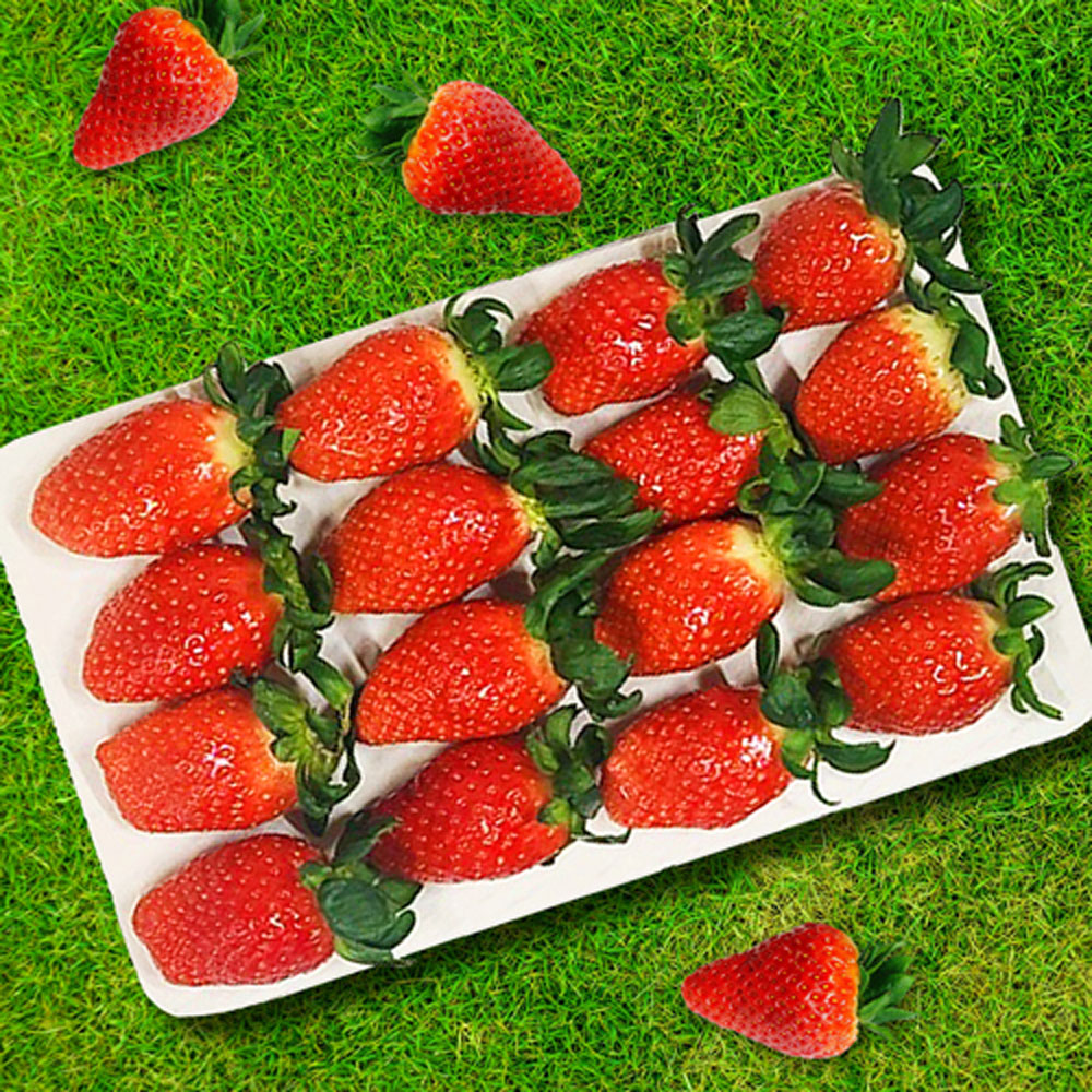 1702604993 thumbnail