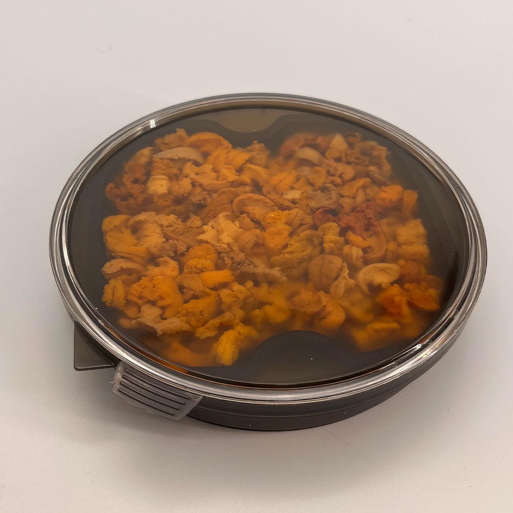 1702865710 thumbnail