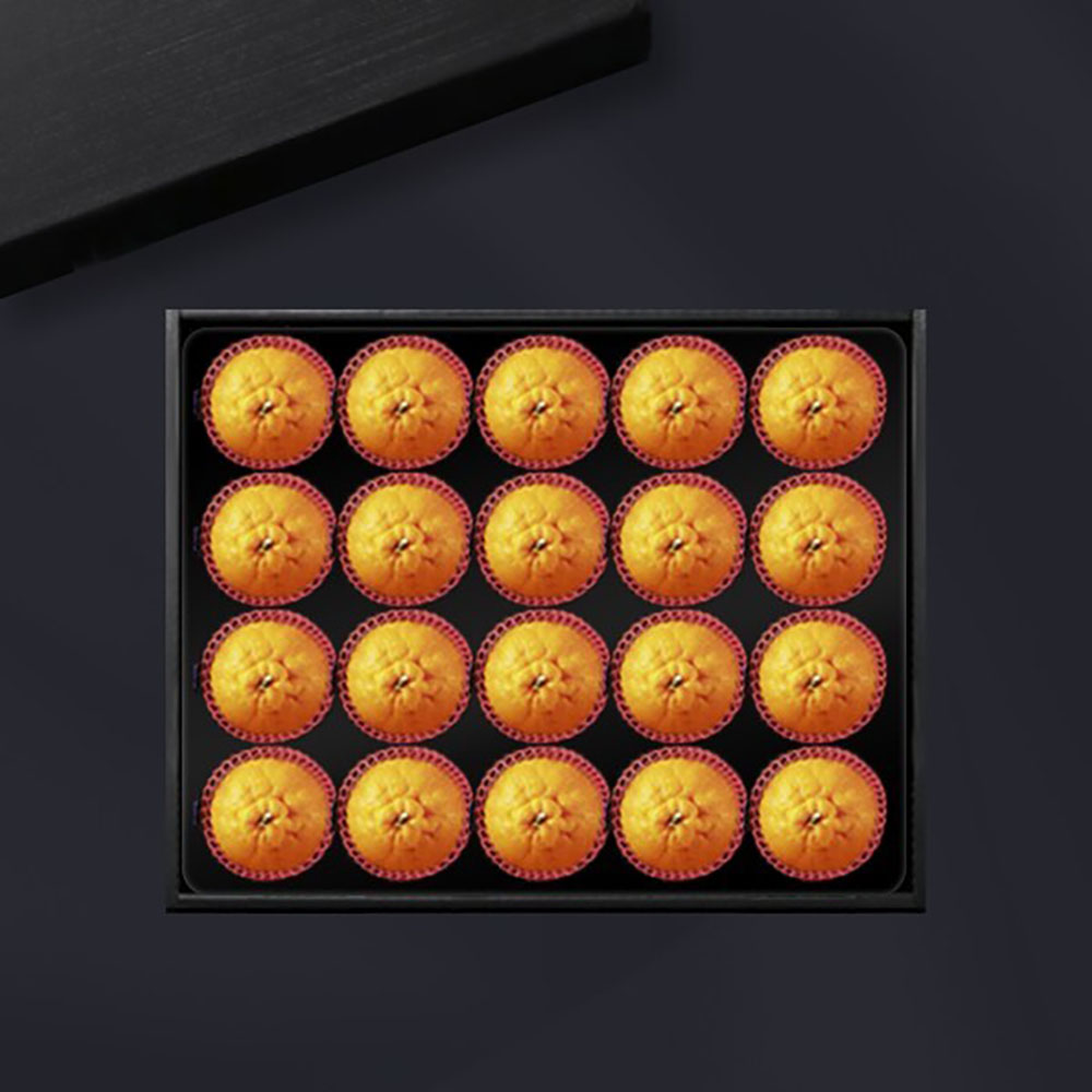 1702973728 thumbnail