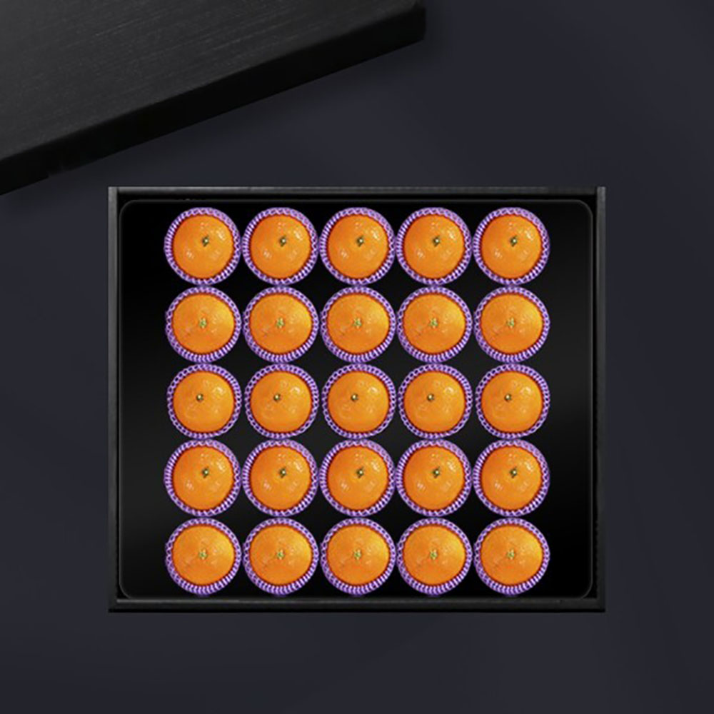 1702973729 thumbnail