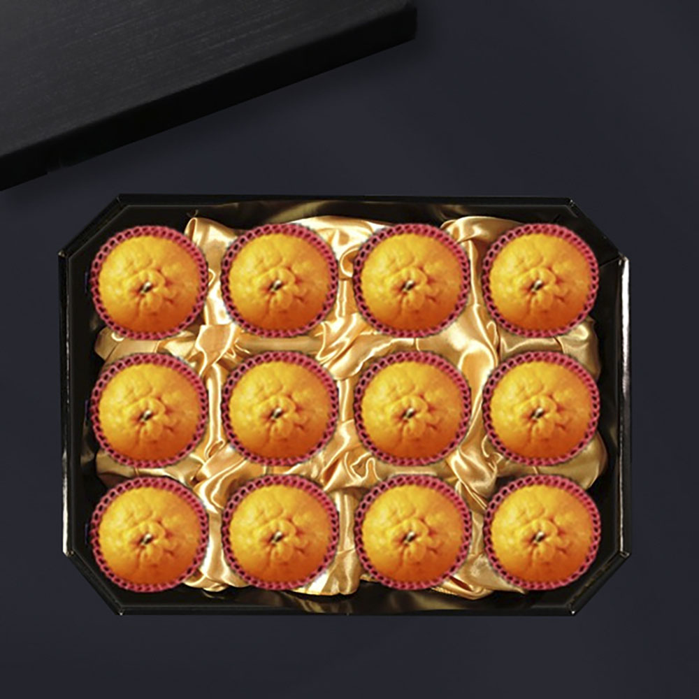 1702973735 thumbnail