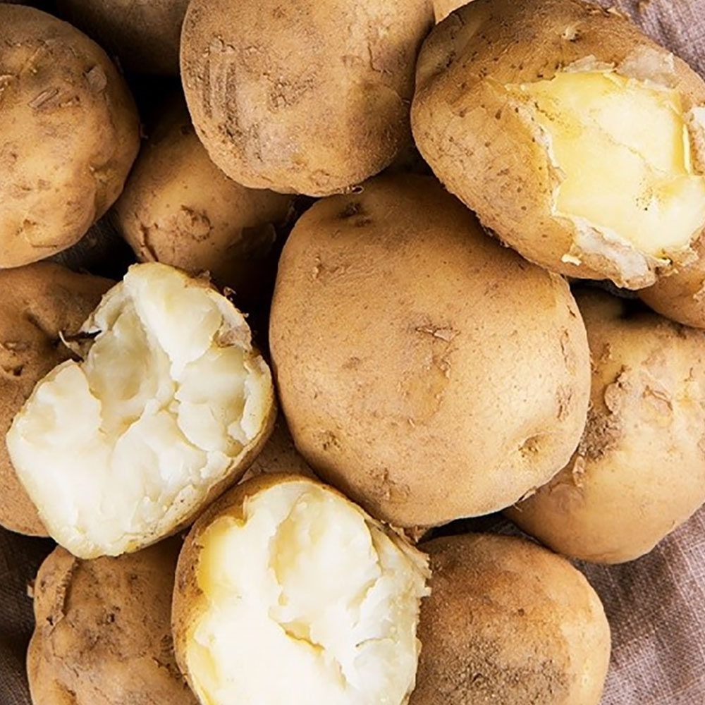 1702974895 thumbnail