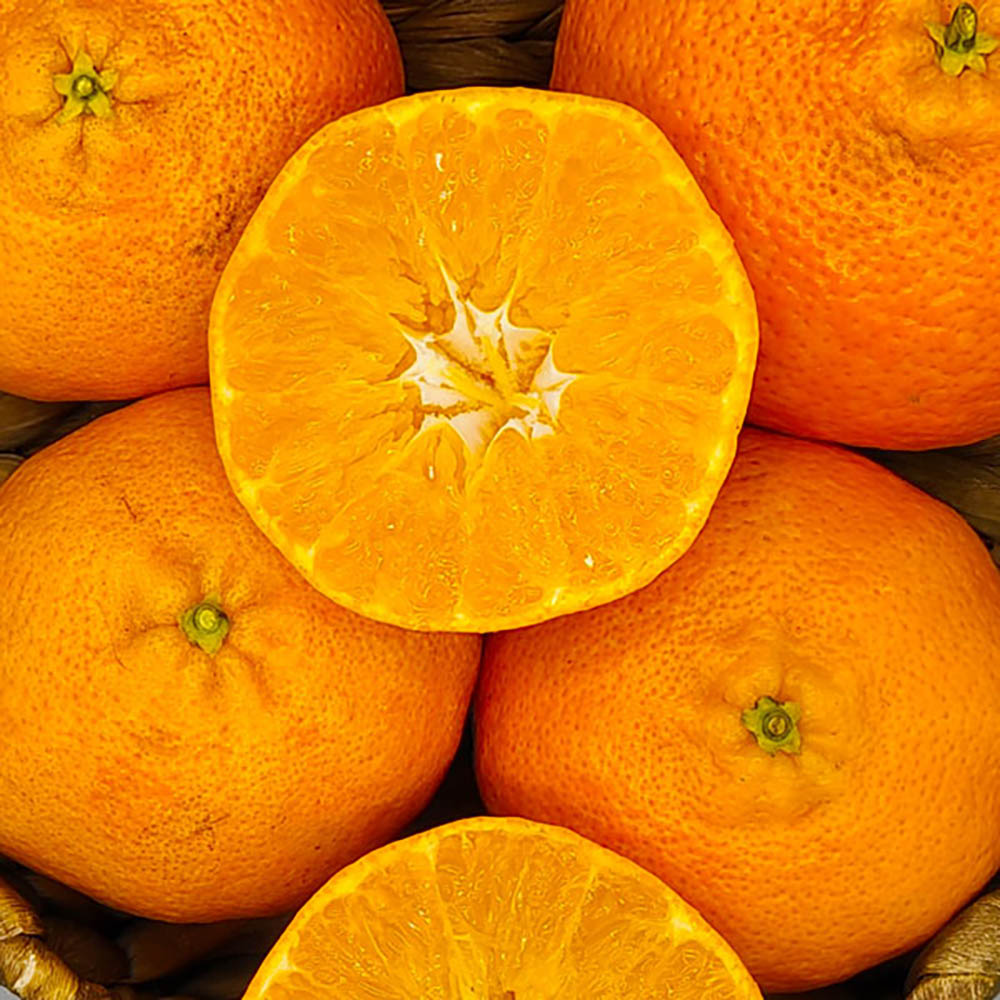 1703057334 thumbnail