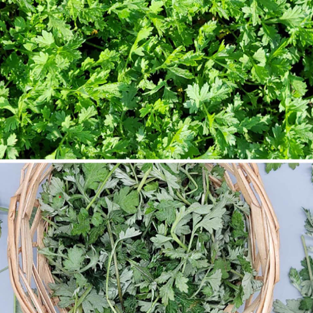 1703057336 thumbnail