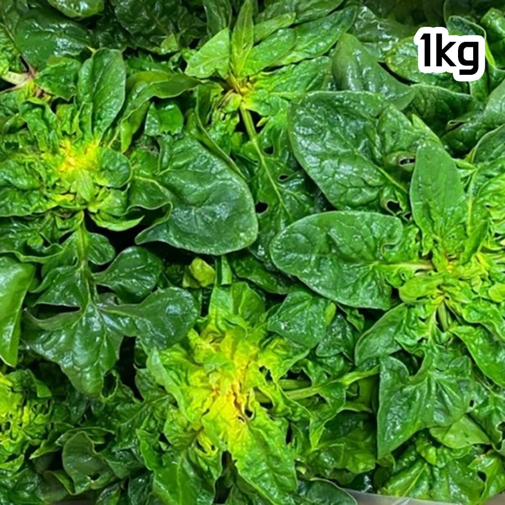 1703221644 thumbnail