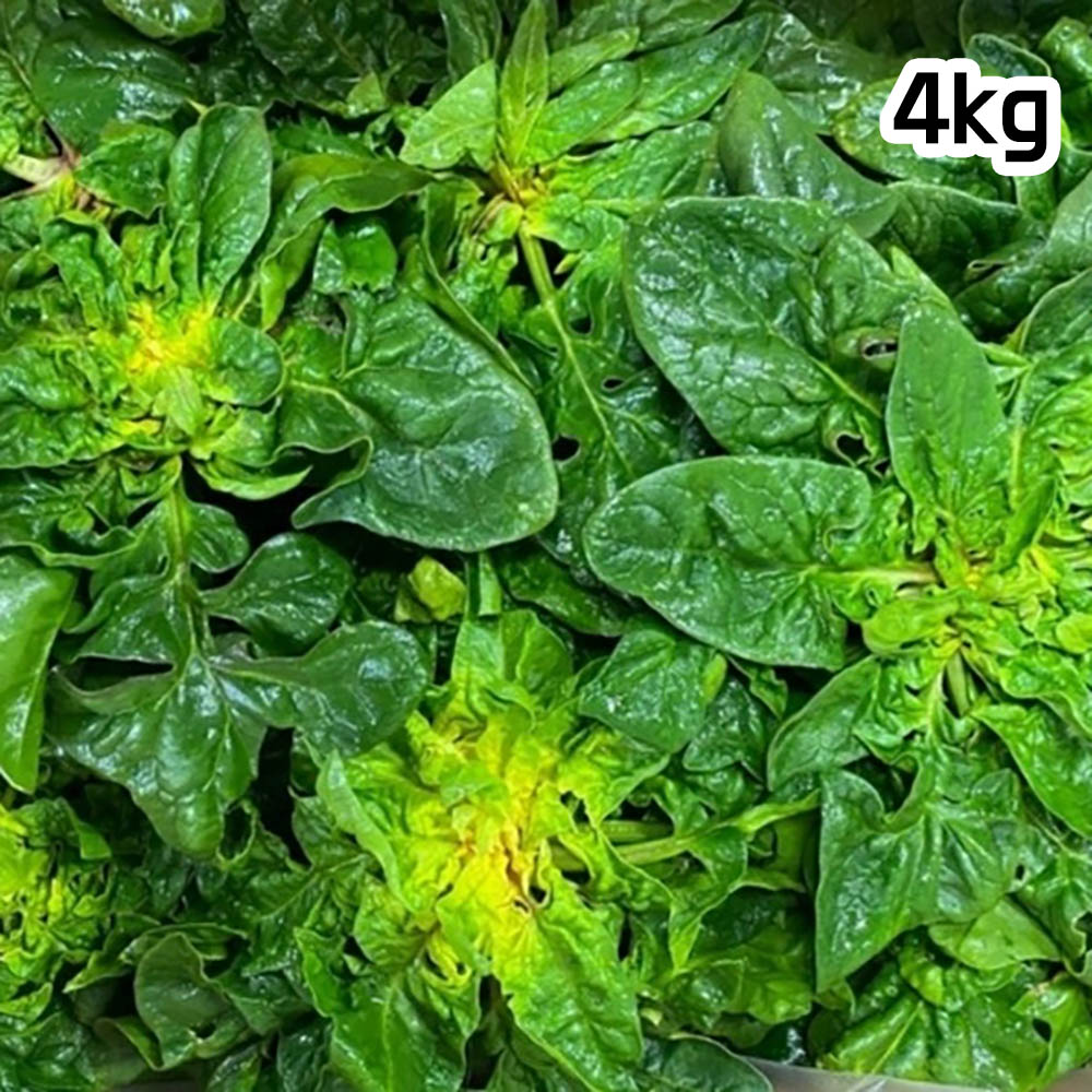 1703221646 thumbnail