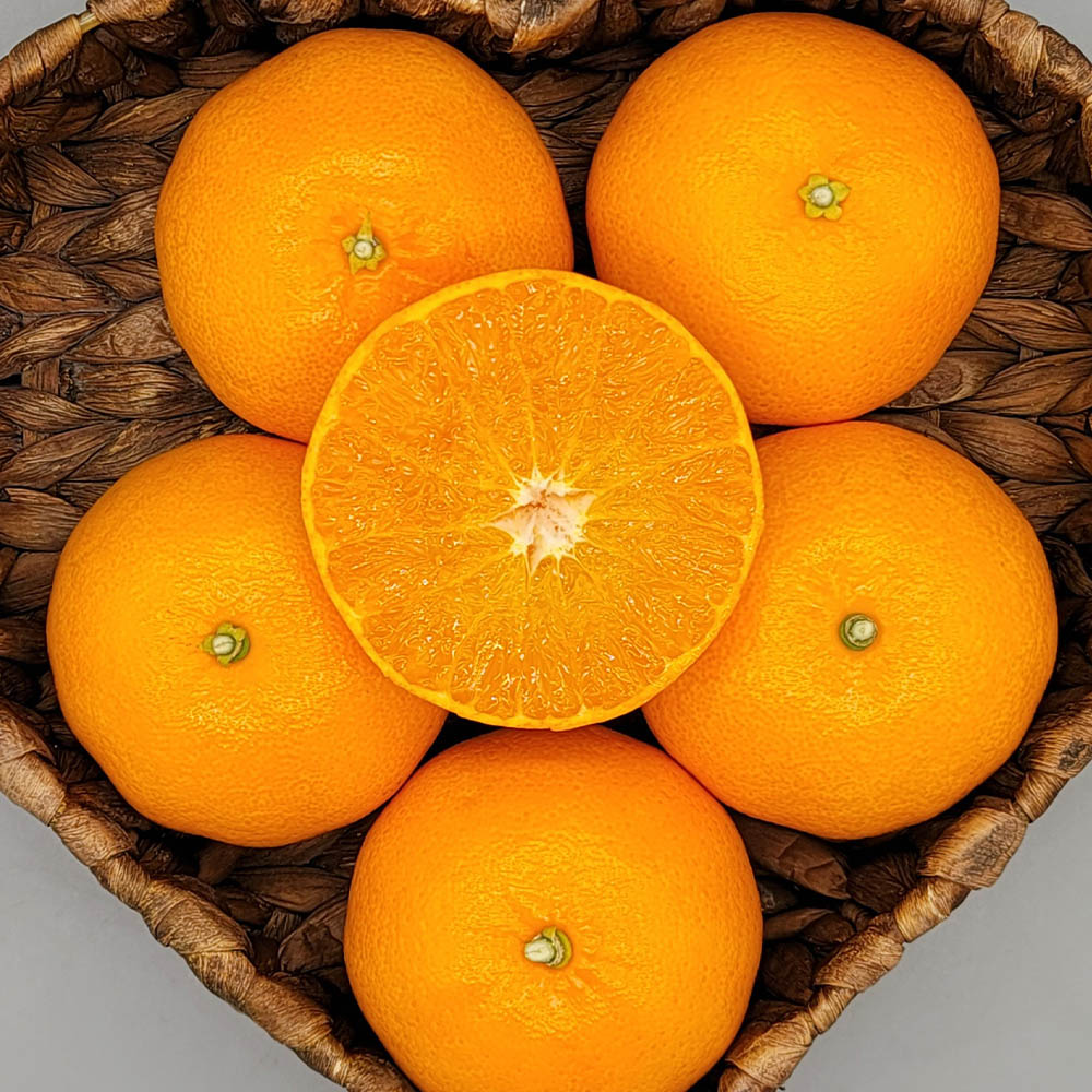 1703221648 thumbnail