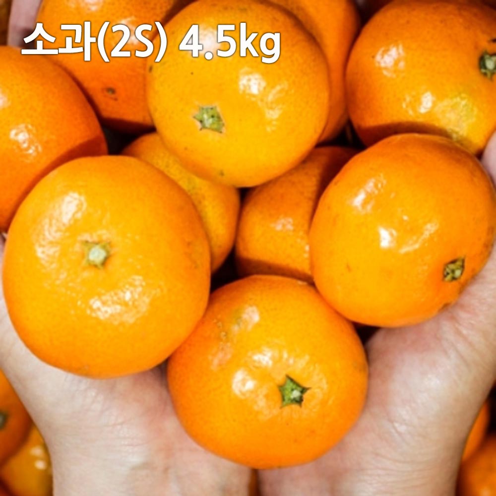 1703661340 thumbnail