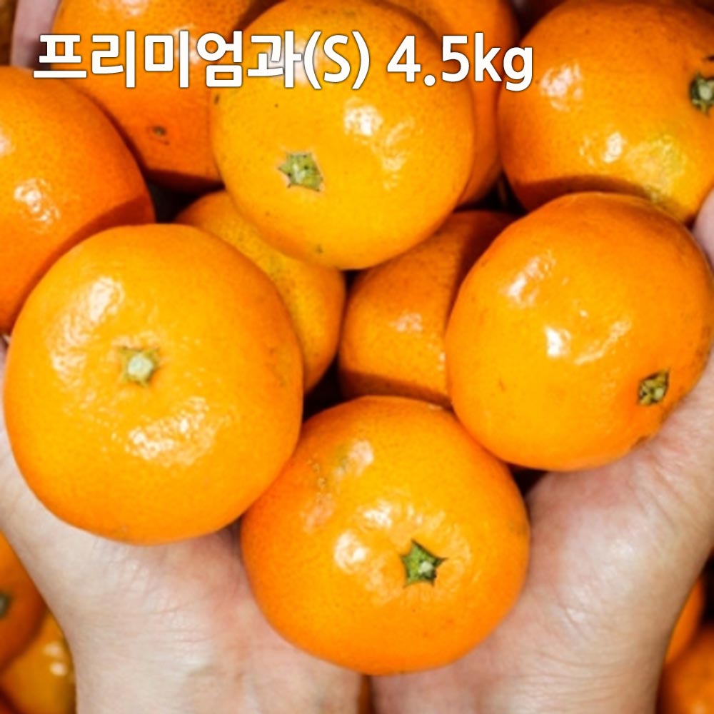 1703661341 thumbnail