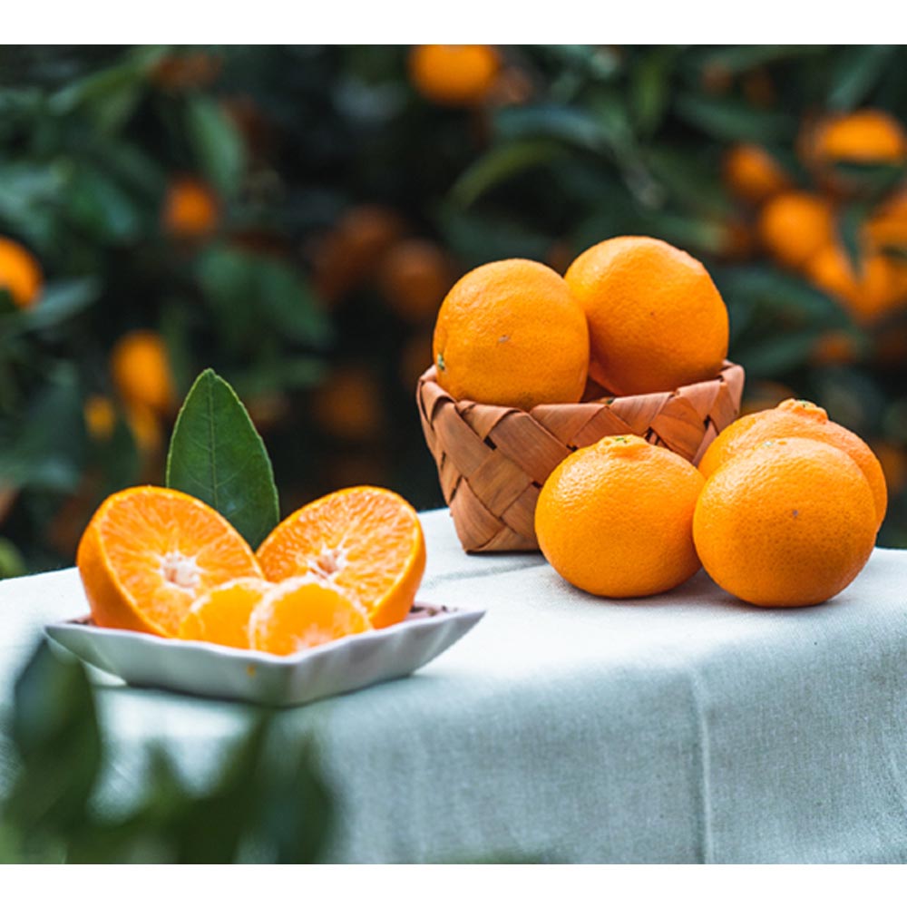 1703661343 thumbnail