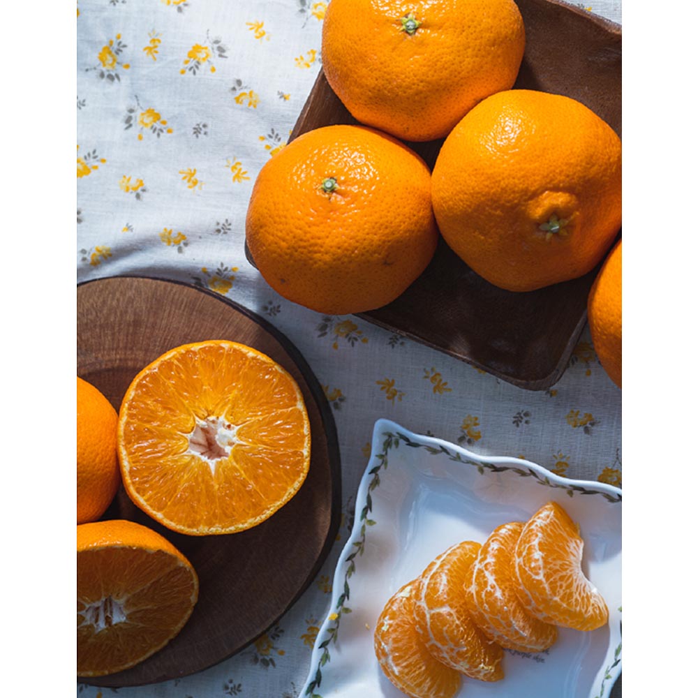 1703661344 thumbnail