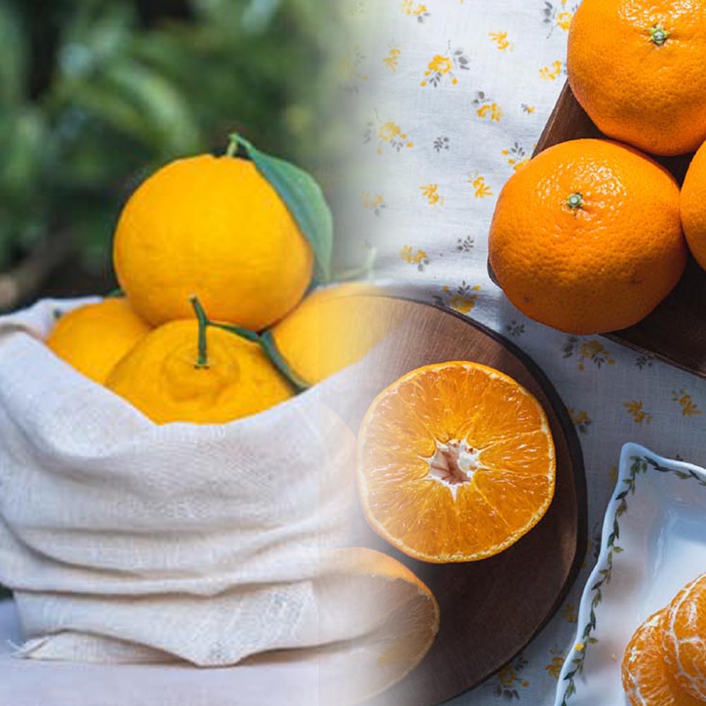 1703661345 thumbnail