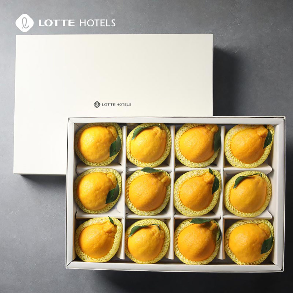 1703664414 thumbnail