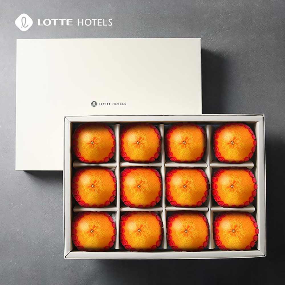 1703664415 thumbnail