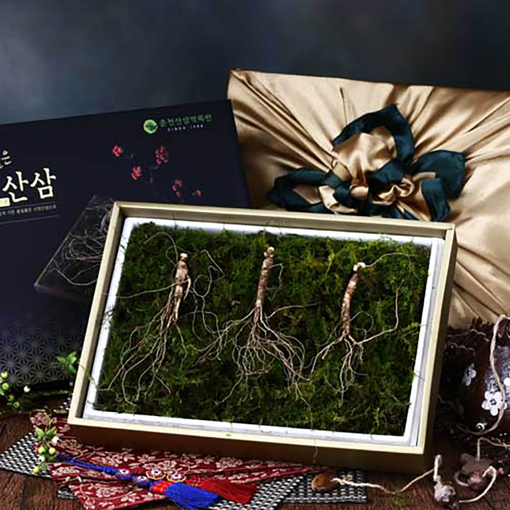 1703752981 thumbnail