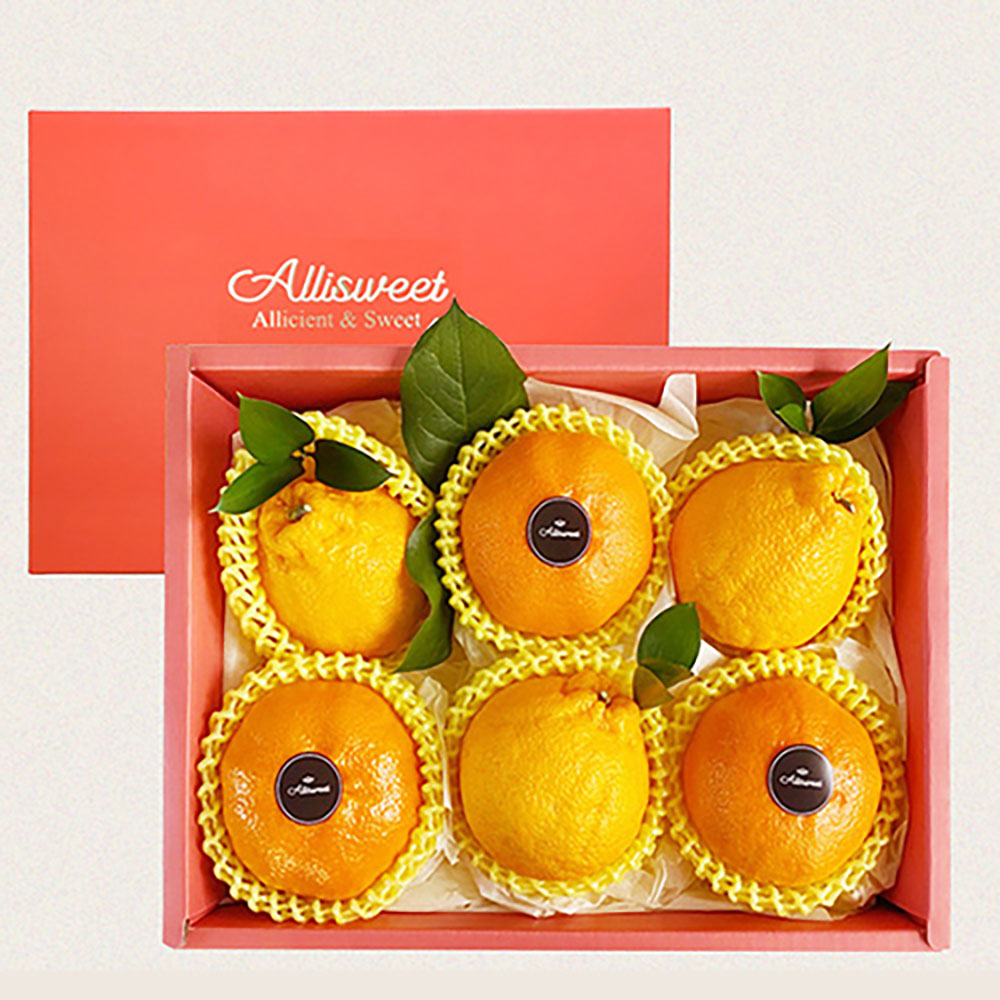 1703820630 thumbnail