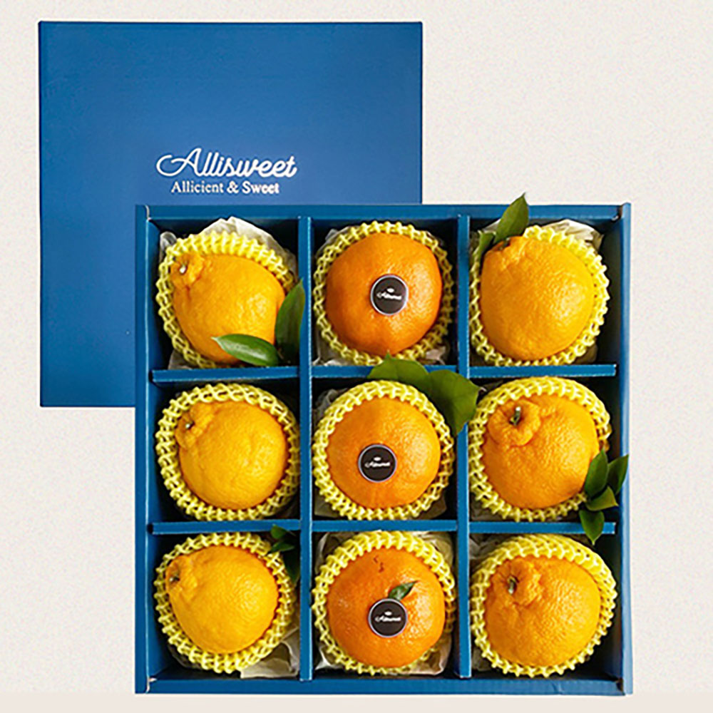 1703820632 thumbnail