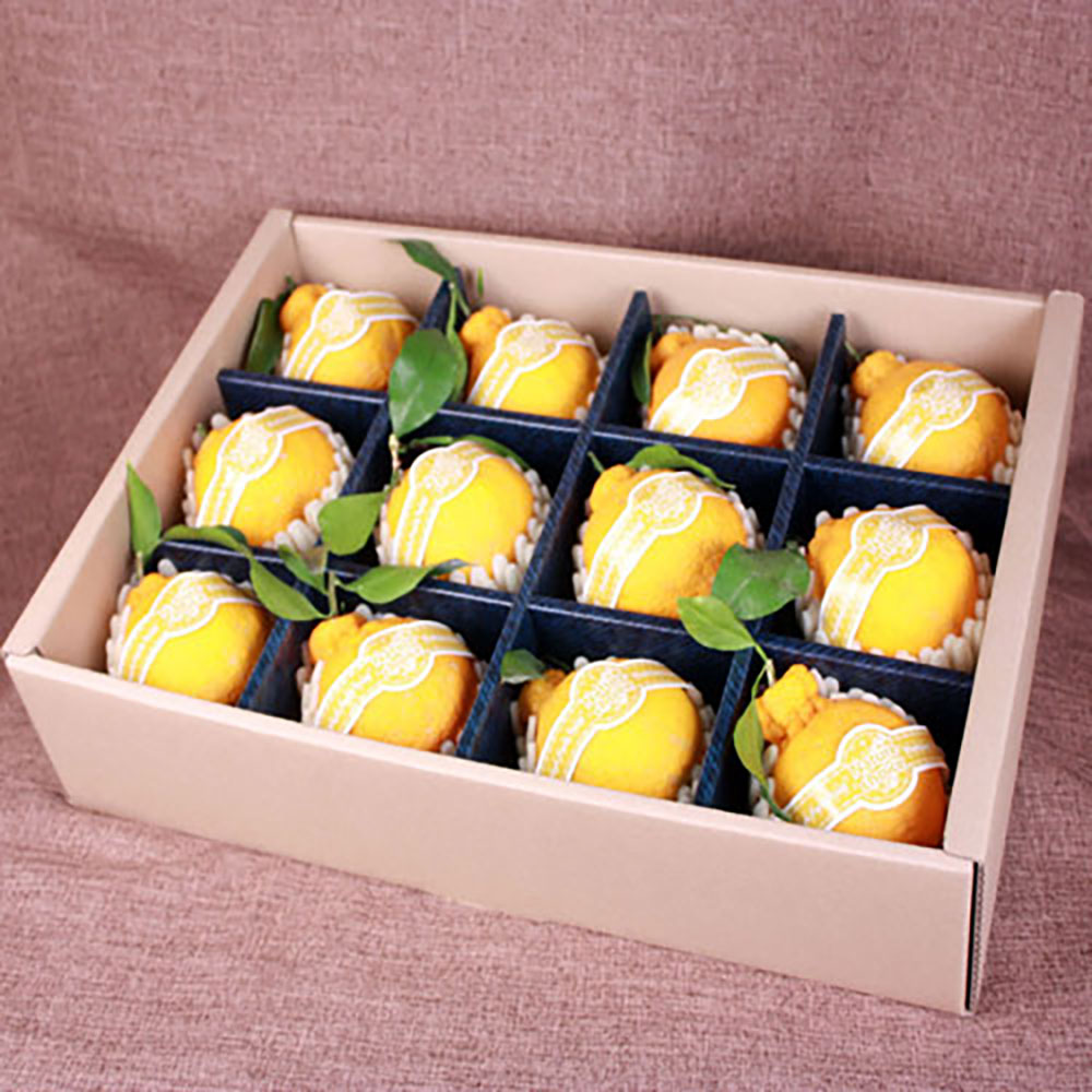 1703820643 thumbnail