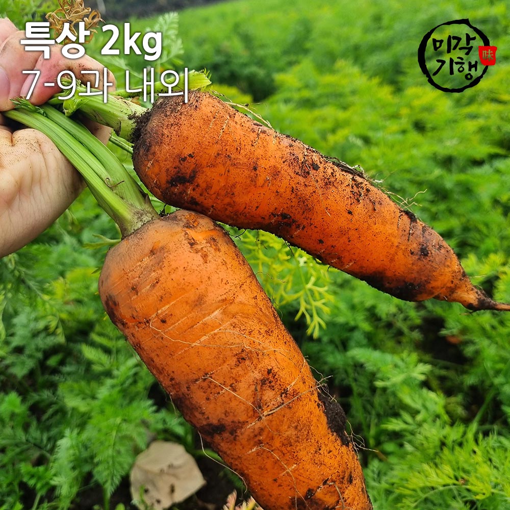 1704159410 thumbnail