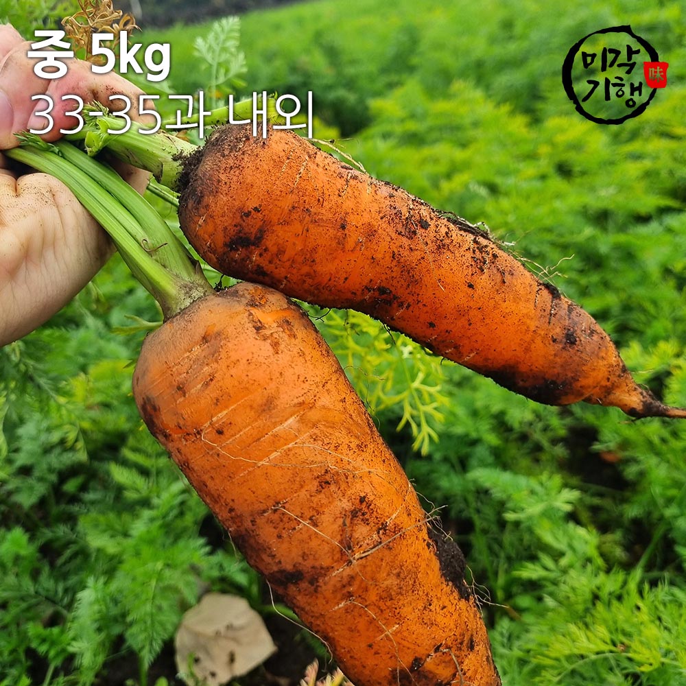 1704159414 thumbnail