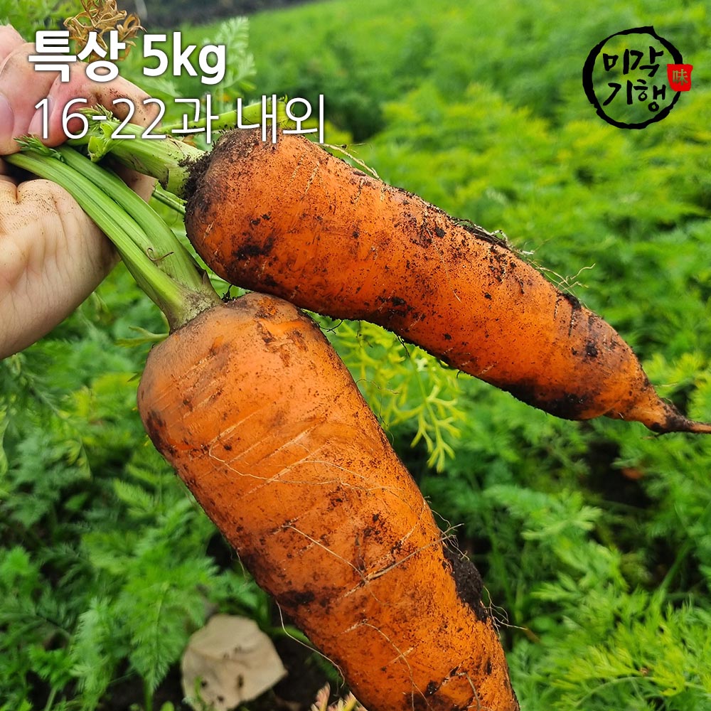 1704159416 thumbnail