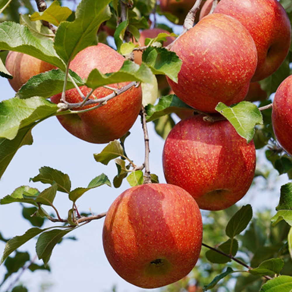 1704178340 thumbnail