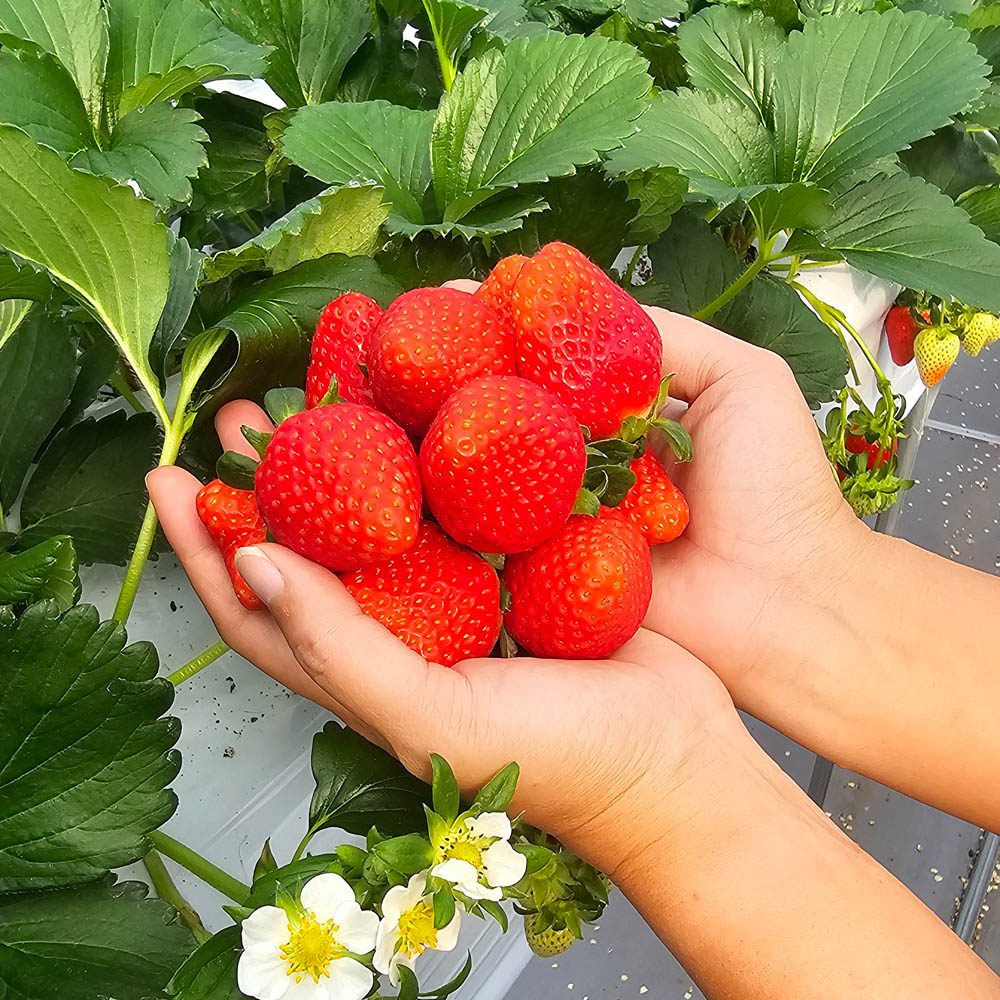 1704178358 thumbnail