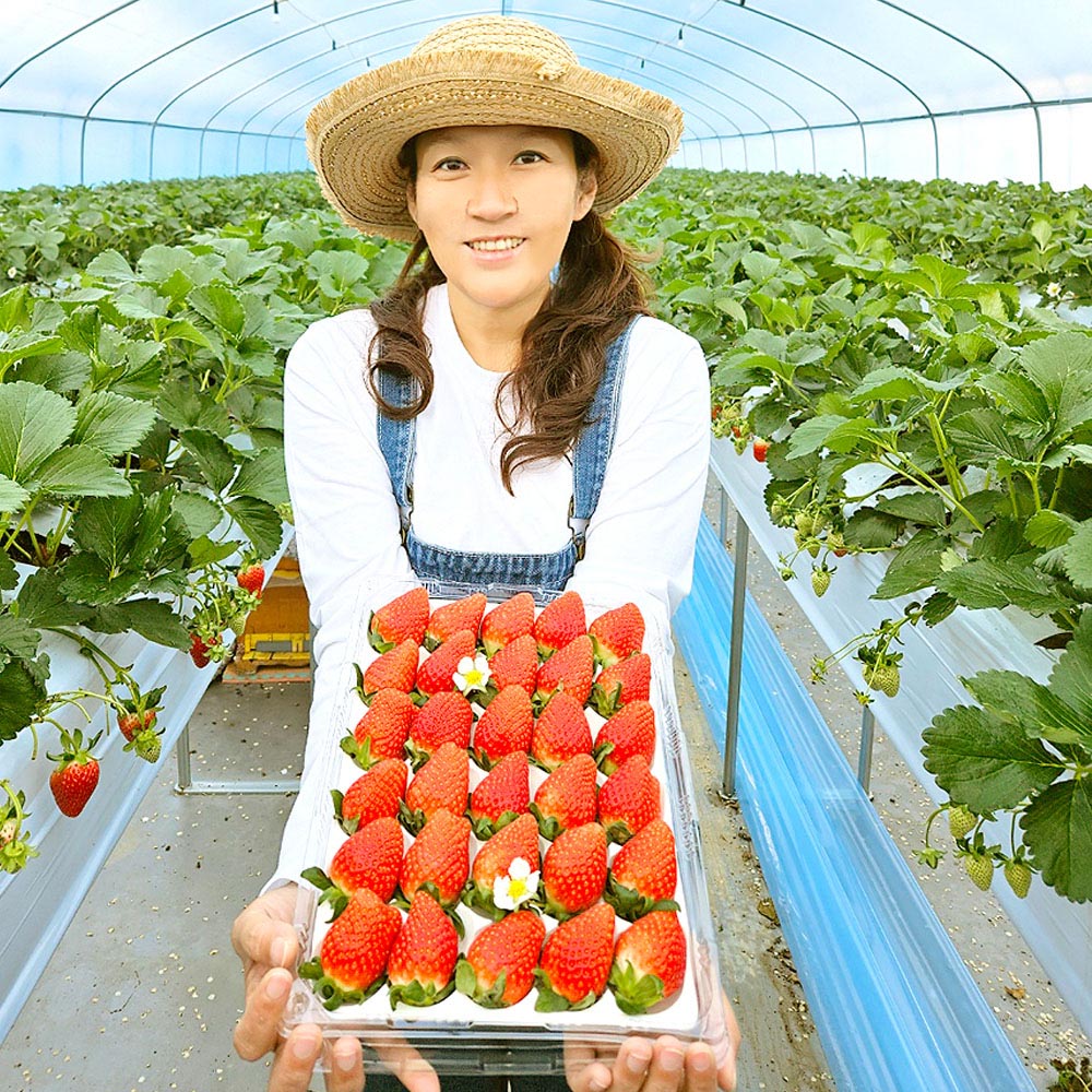 1704178359 thumbnail