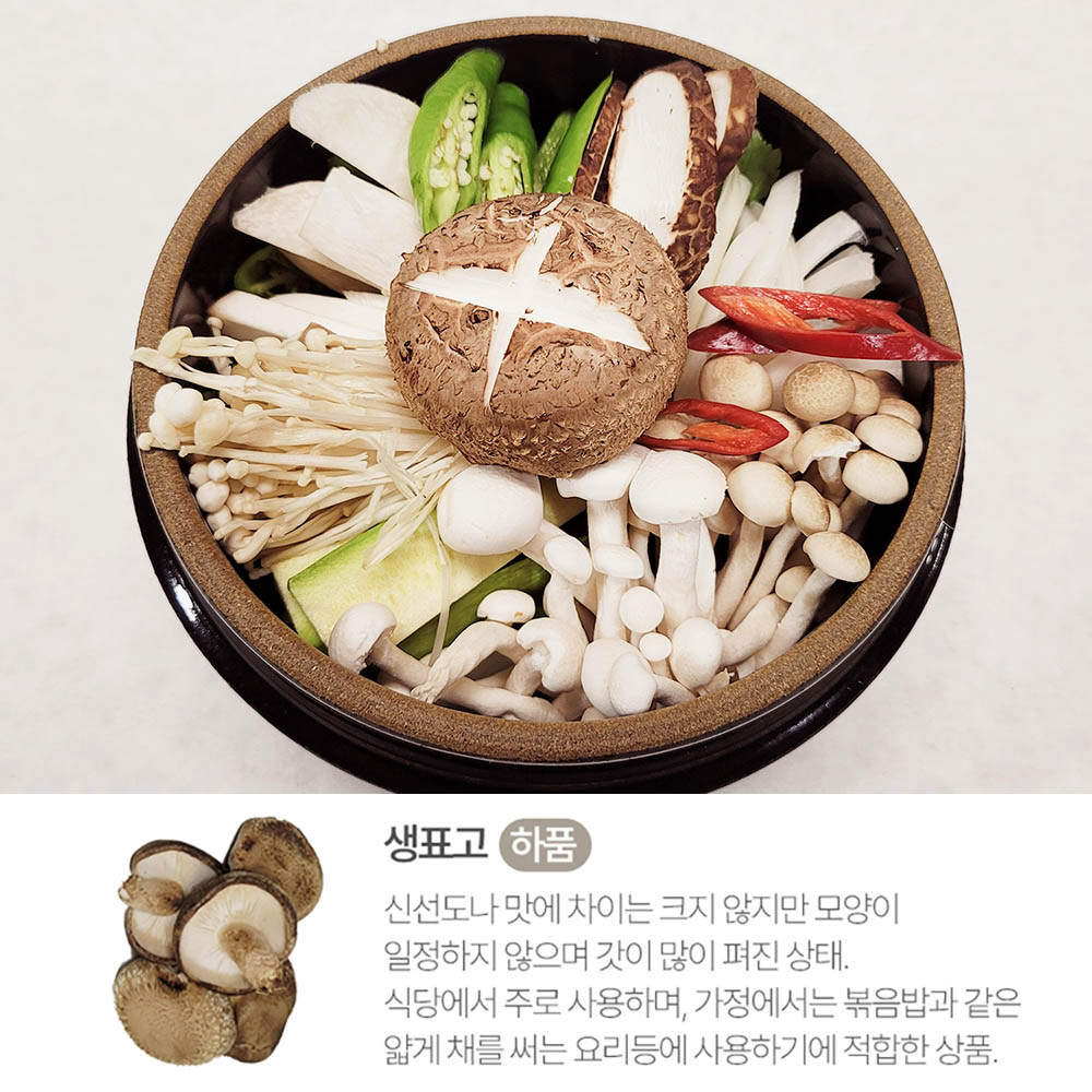 1704348625 thumbnail