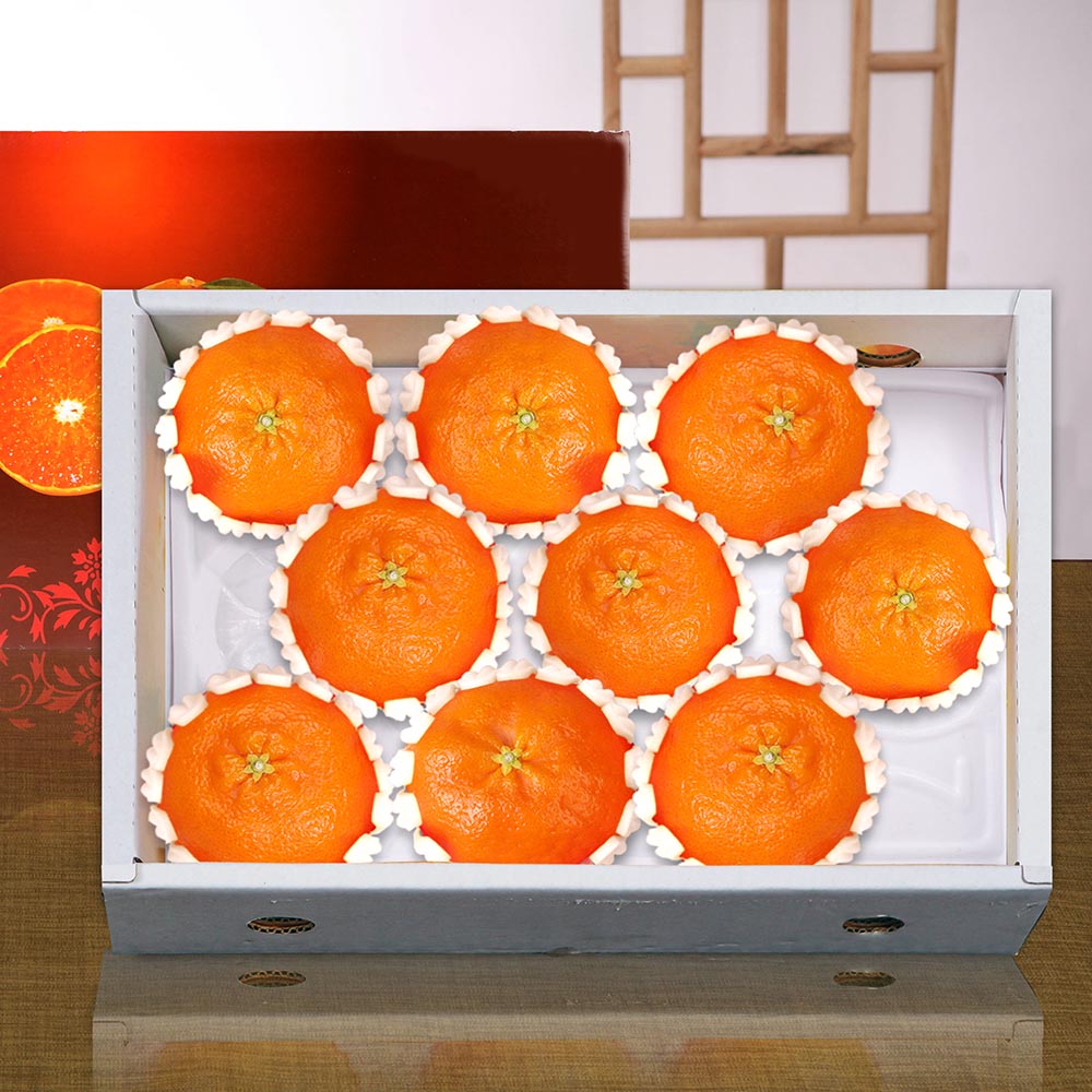 1704674009 thumbnail