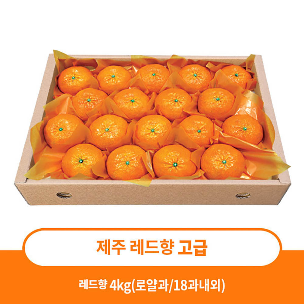 1704697458 thumbnail