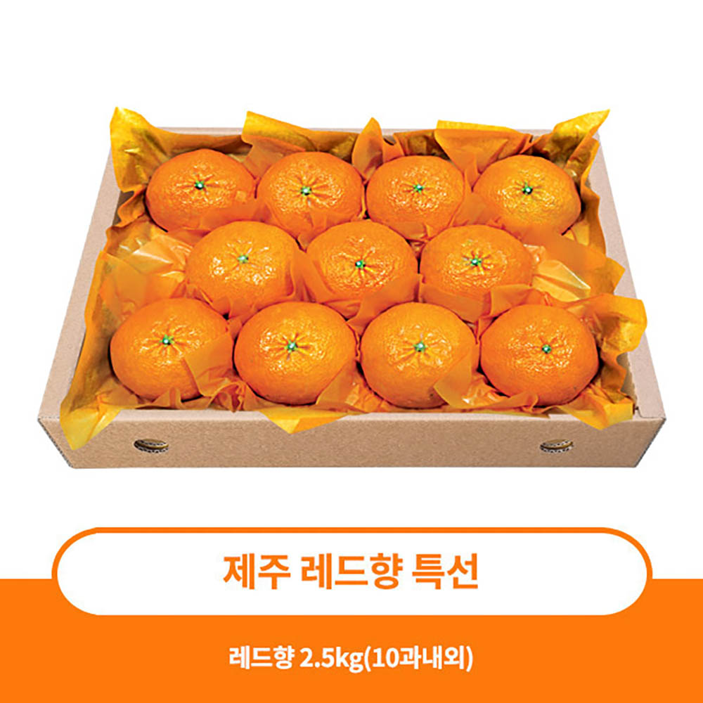 1704697459 thumbnail