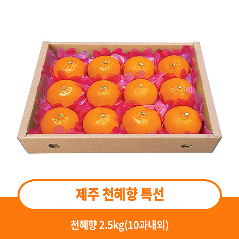 1704697462 thumbnail