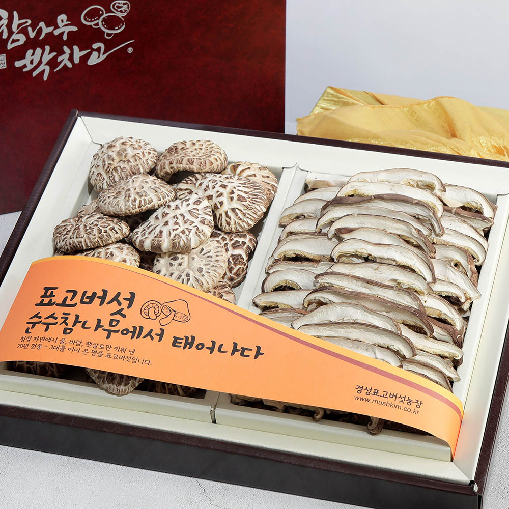 1704698769 thumbnail