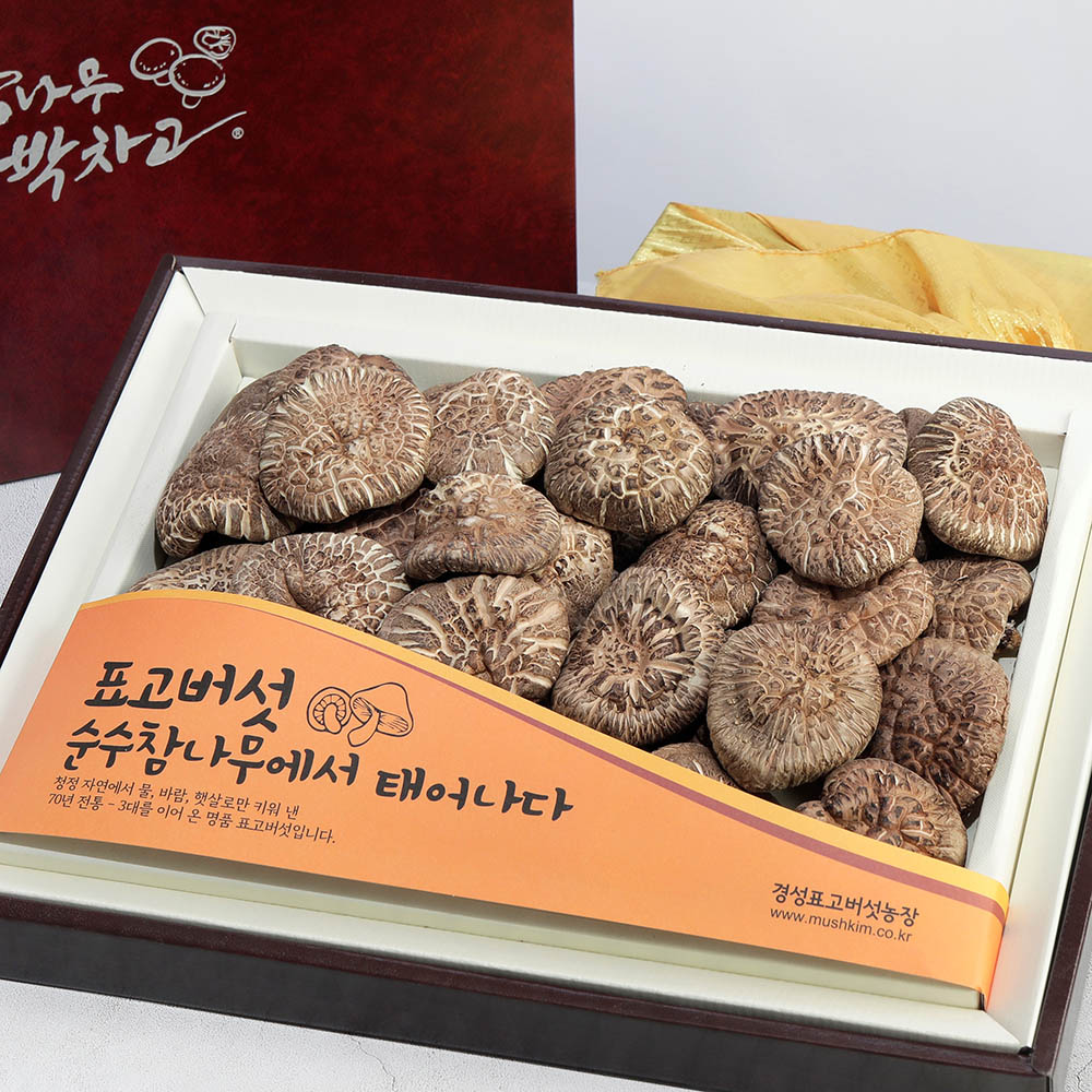 1704698770 thumbnail