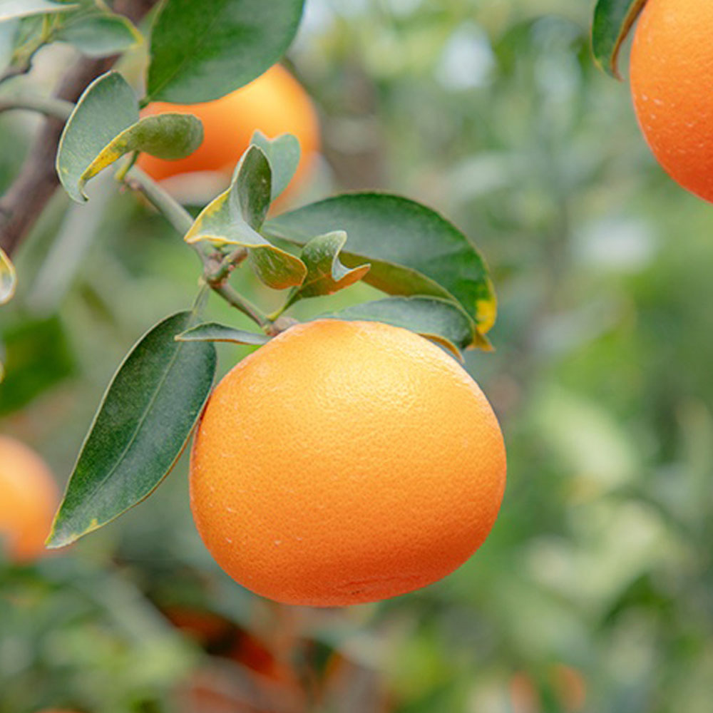 1704699340 thumbnail