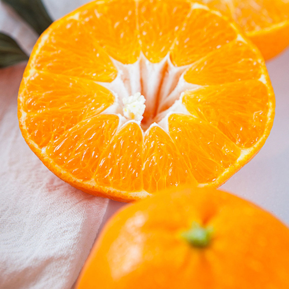 1704699343 thumbnail