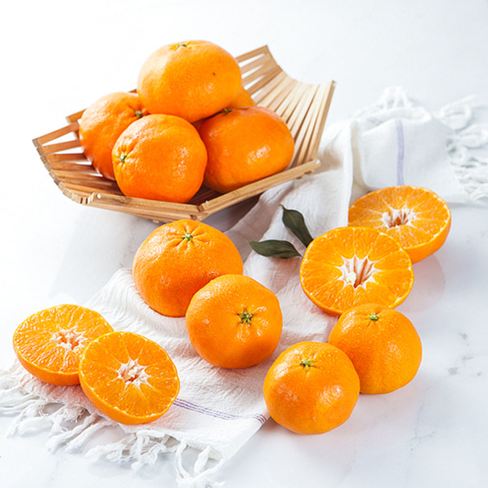 1704699349 thumbnail