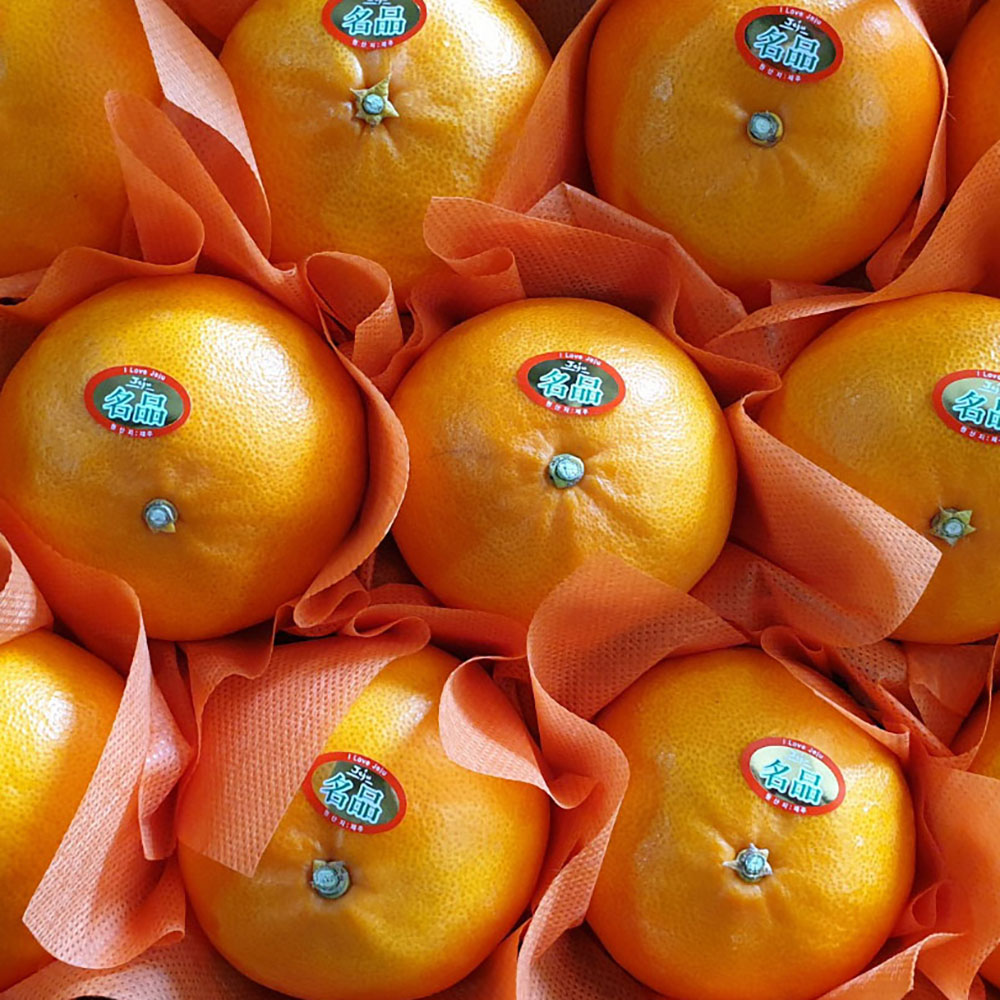 1704699351 thumbnail