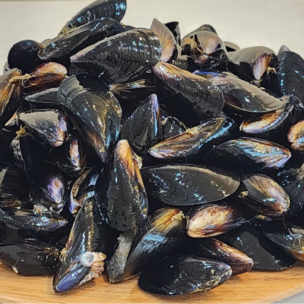 1704769299 thumbnail