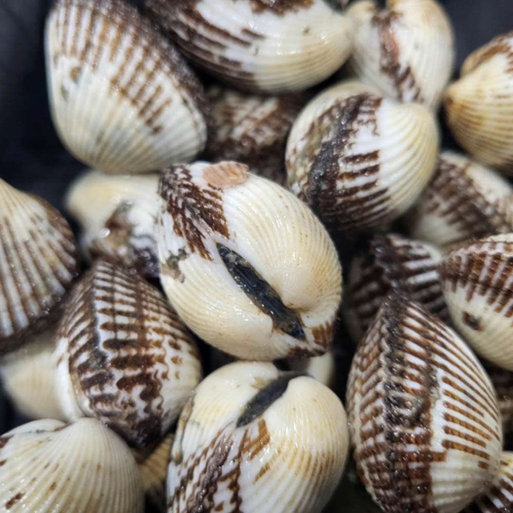 1704940586 thumbnail