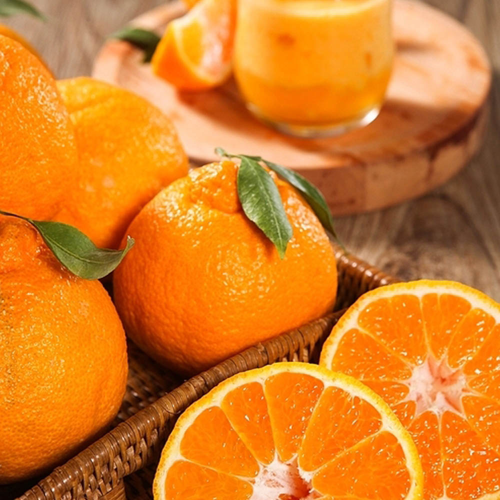 1704950461 thumbnail