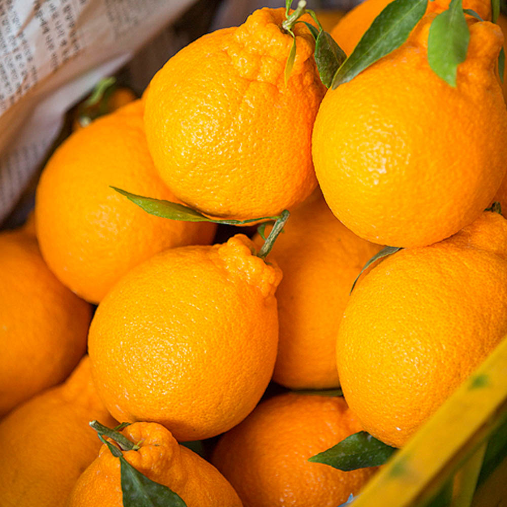 1704950470 thumbnail