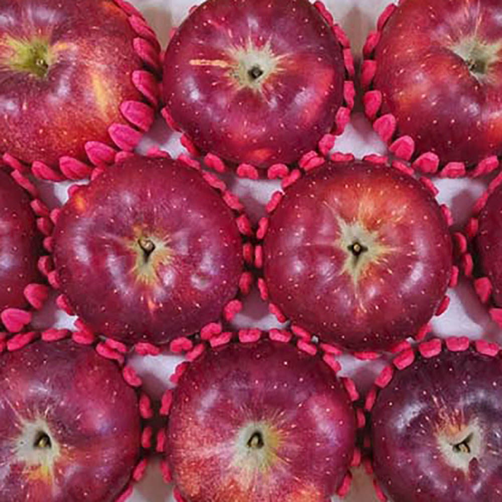 1704950472 thumbnail