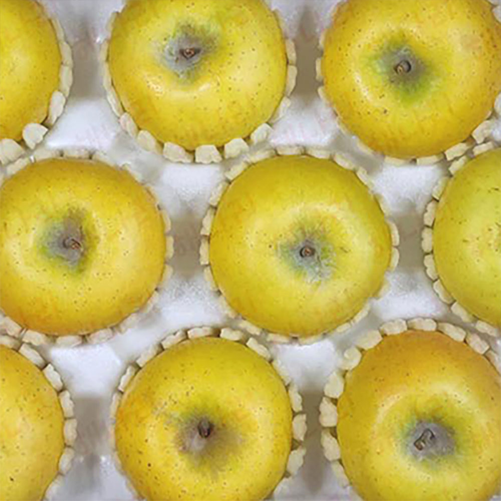 1704950473 thumbnail