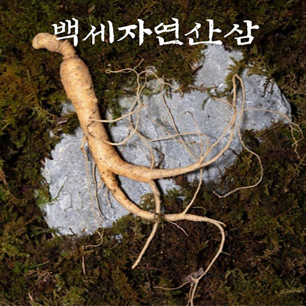 1704950492 thumbnail